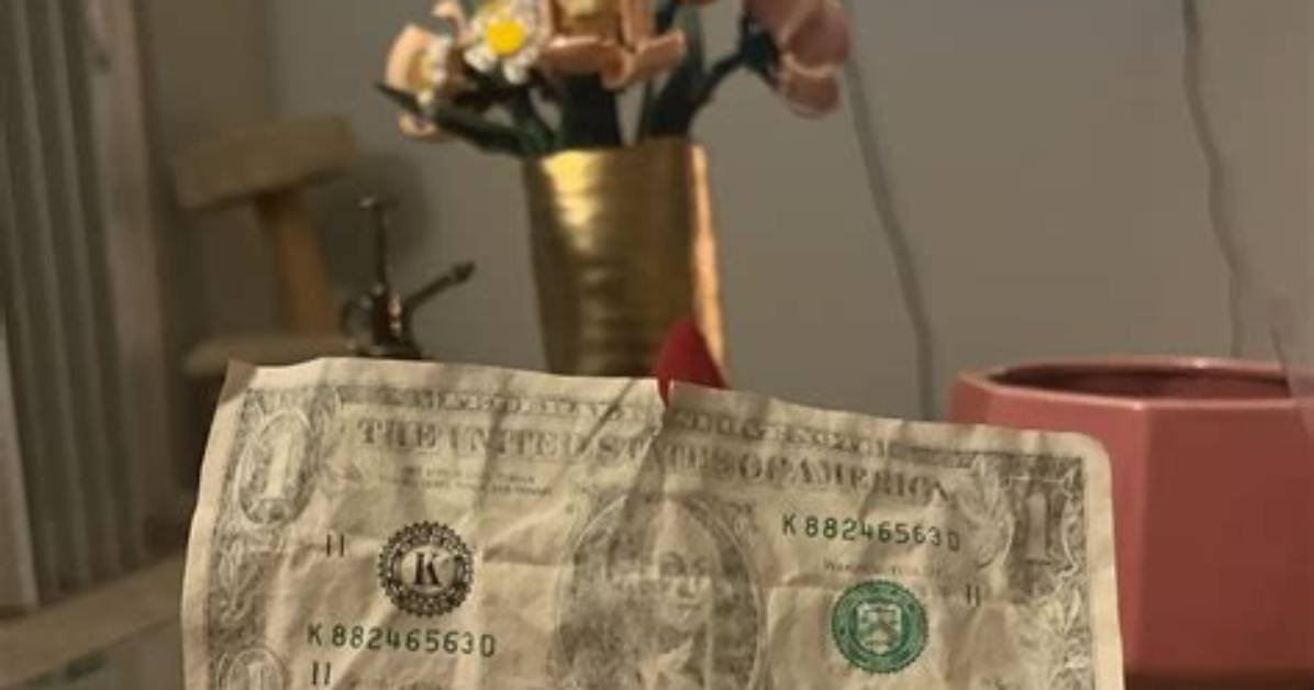 What Happens When You Wash a Dollar?