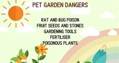 What Hazards Are in the Garden?