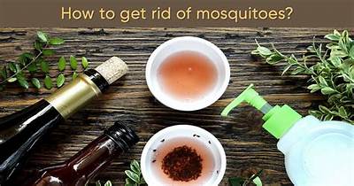 What Home Remedy Gets Rid of Mosquitoes?