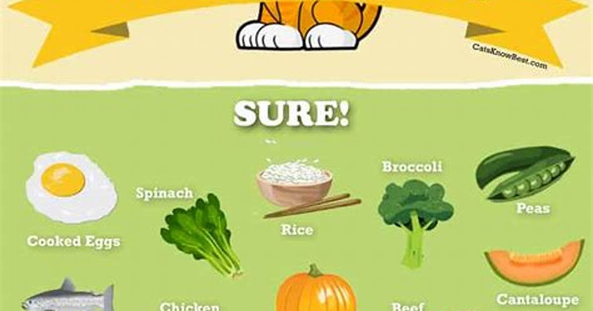 What Human Food Can Cats Eat?