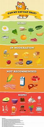 What Human Food Can Cats Eat?