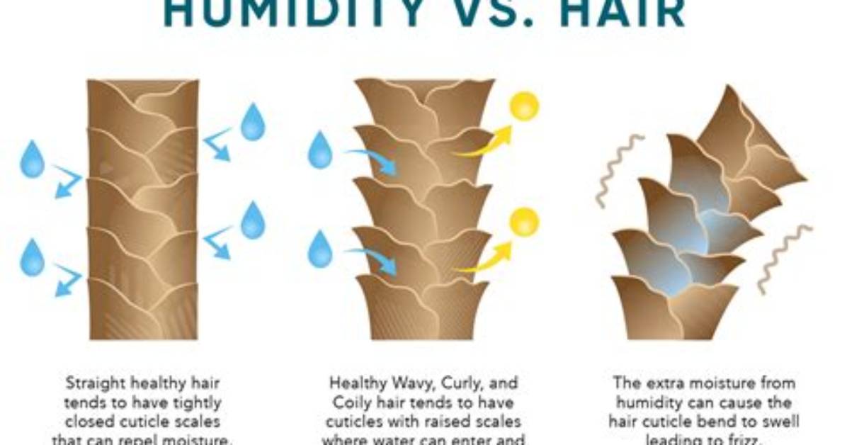 What Humidity Is Bad for Hair?