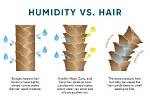 What Humidity Is Bad for Hair?