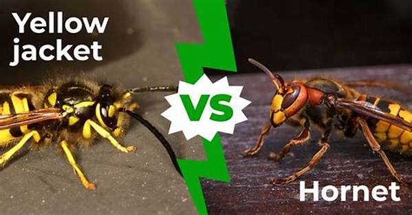 What Hurts More Hornet or Yellow Jacket?