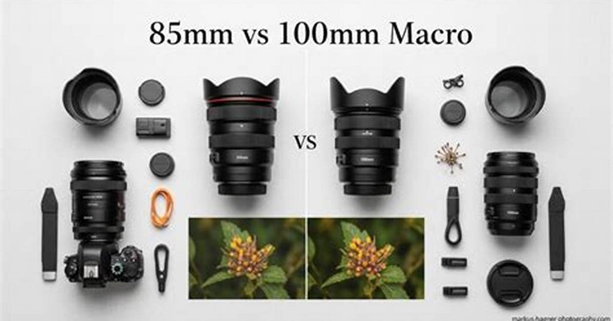 What Is a 100Mm Lens Used for?