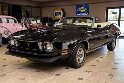 What Is a 351 Cobra Jet?