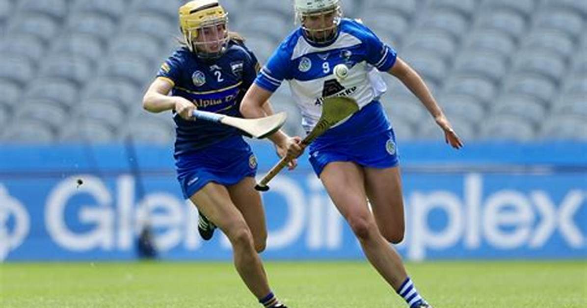 What Is a 45 in Camogie?