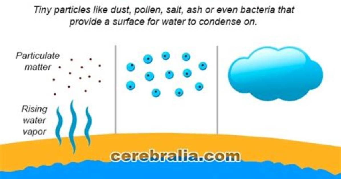 What Is a Condensation Nuclei