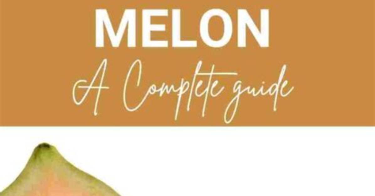 What Is a Crenshaw Melon?