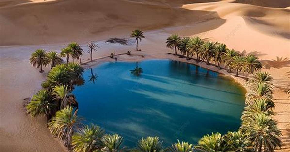 What Is a Desert Oasis
