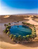 What Is a Desert Oasis