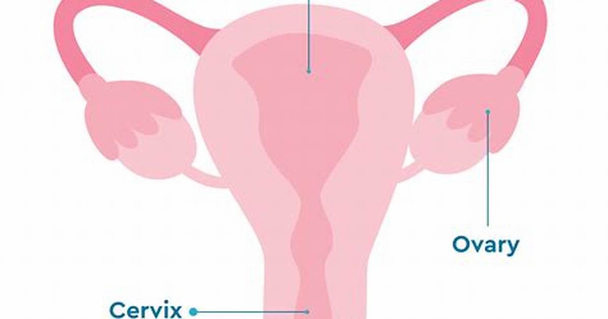 What Is a Female Knave Called?