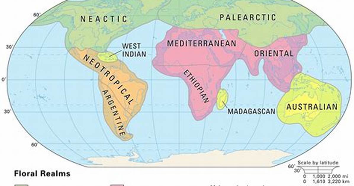 What Is a Geographic Region Called?