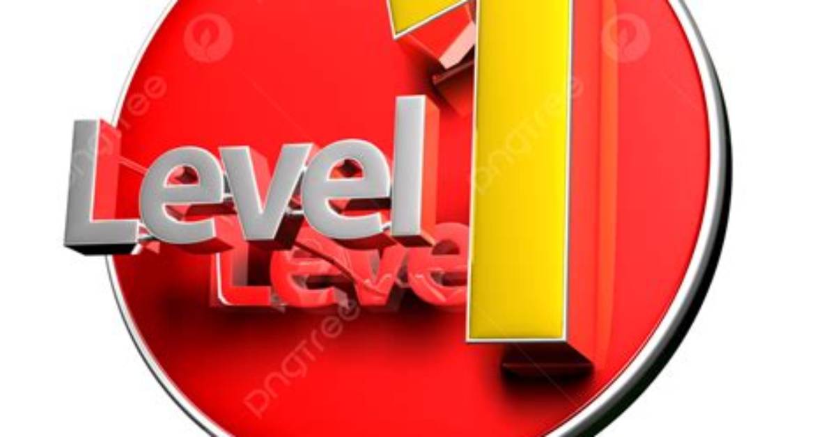 What Is a Level 1