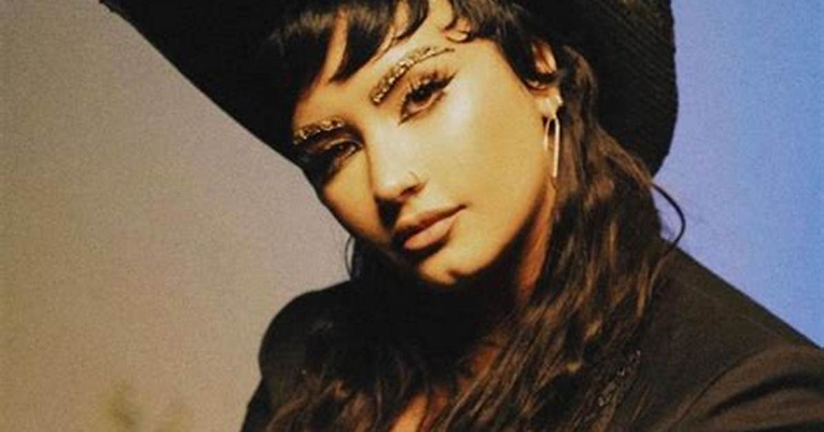 What Is a Melon Cake Demi Lovato Refers to Eating Disorder in Their New