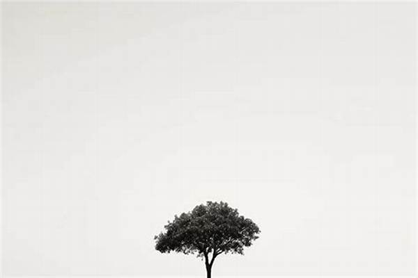 What Is a Monochrome Image?