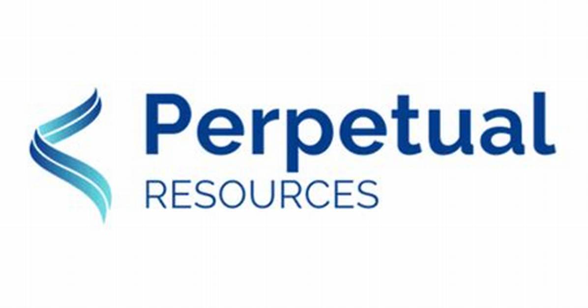 What Is a Perpetual Resource
