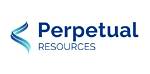 What Is a Perpetual Resource
