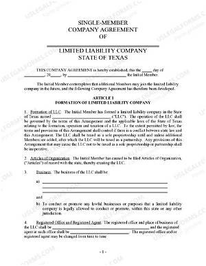 What Is a Single Member Limited Liability Company?