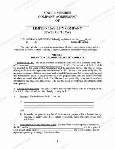 What Is a Single Member Limited Liability Company?