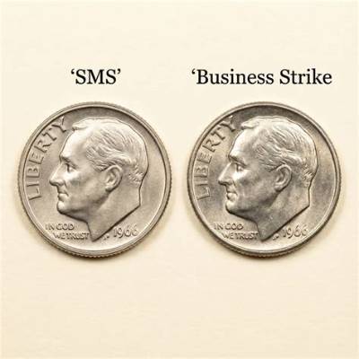 What Is a Sms Dime?