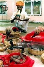 What Is a Snake Charmer