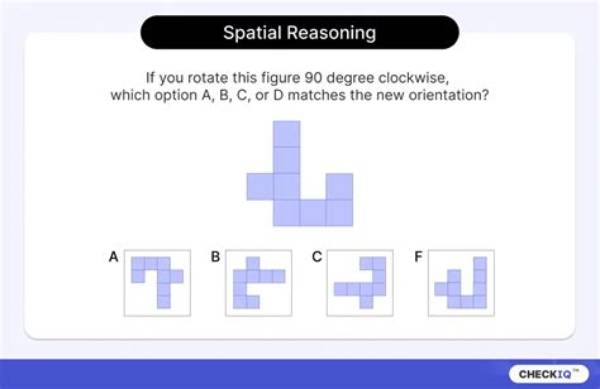 What Is a Spatial Question?