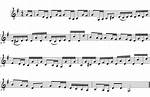 What Is a Tutti Section?