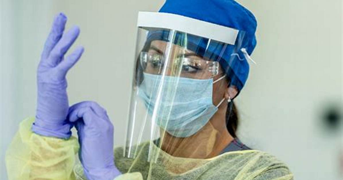 What Is a Vet Ppe?