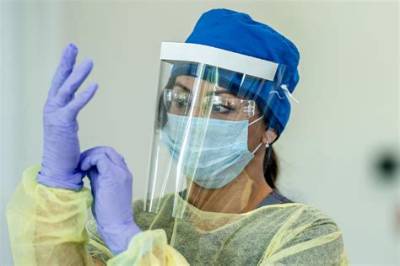 What Is a Vet Ppe?