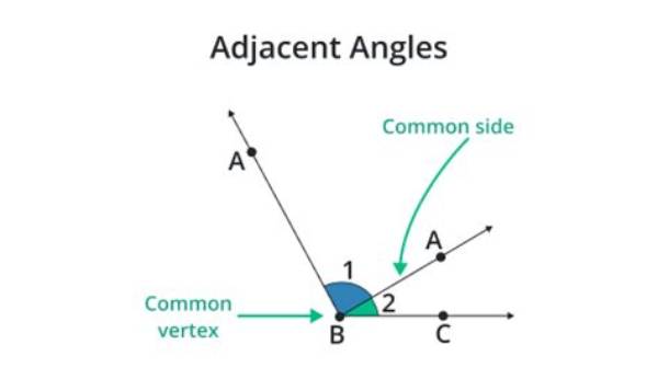 What Is Adjacent Angle?