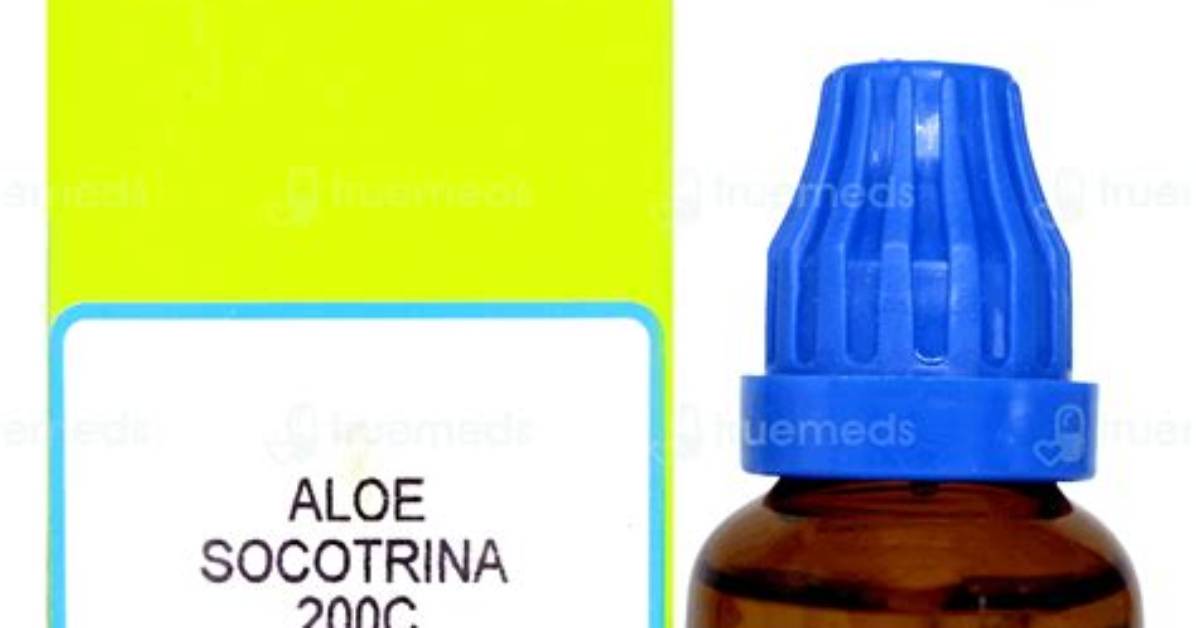What Is Aloe Socotrina Used for?