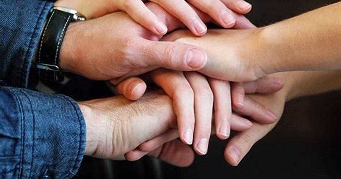What Is an Anchor Partner?