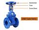What Is an Os & Y Gate Valve?