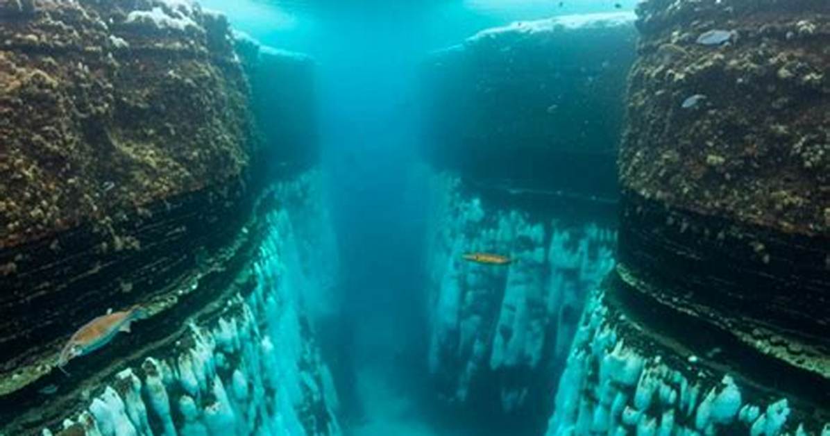 What Is at the Bottom of Antarctica?
