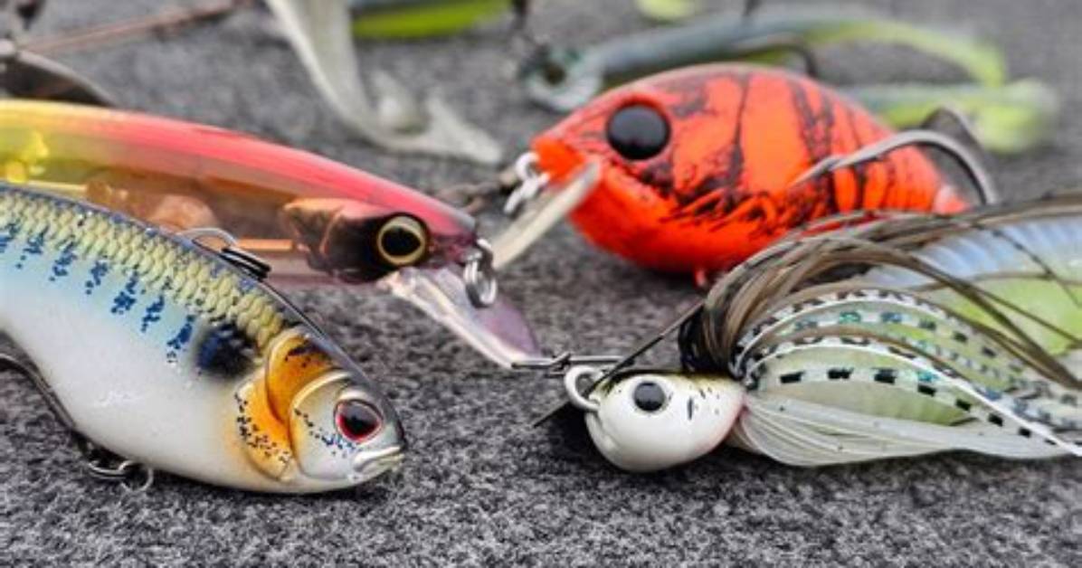 What Is Best for Bass Fishing?