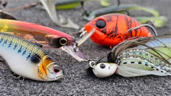 What Is Best for Bass Fishing?