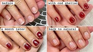 What Is Better Shellac or Dip?