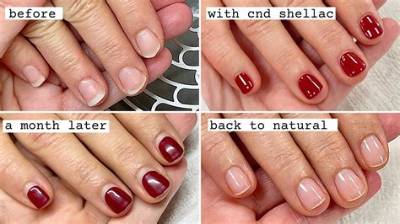 What Is Better Shellac or Dip?