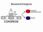 What Is Bicameral System?