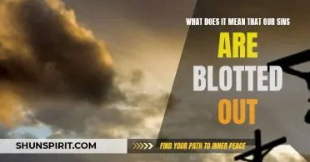 What Is Blotted out Mean?