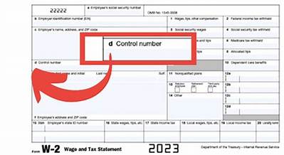What Is Box D in W-2?