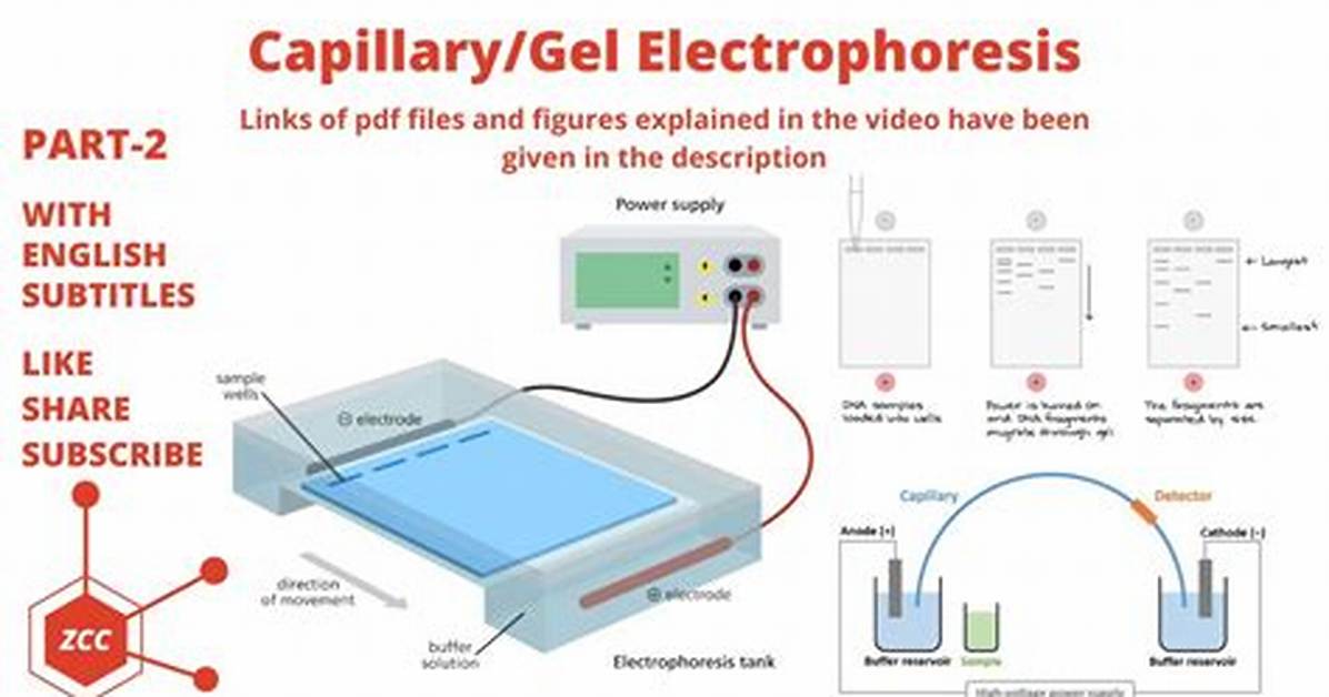 What Is Capillary Electrophoresis?