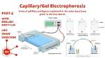 What Is Capillary Electrophoresis?