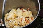 What Is Chick Culling?
