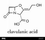 What Is Clavulanic Acid Used for?