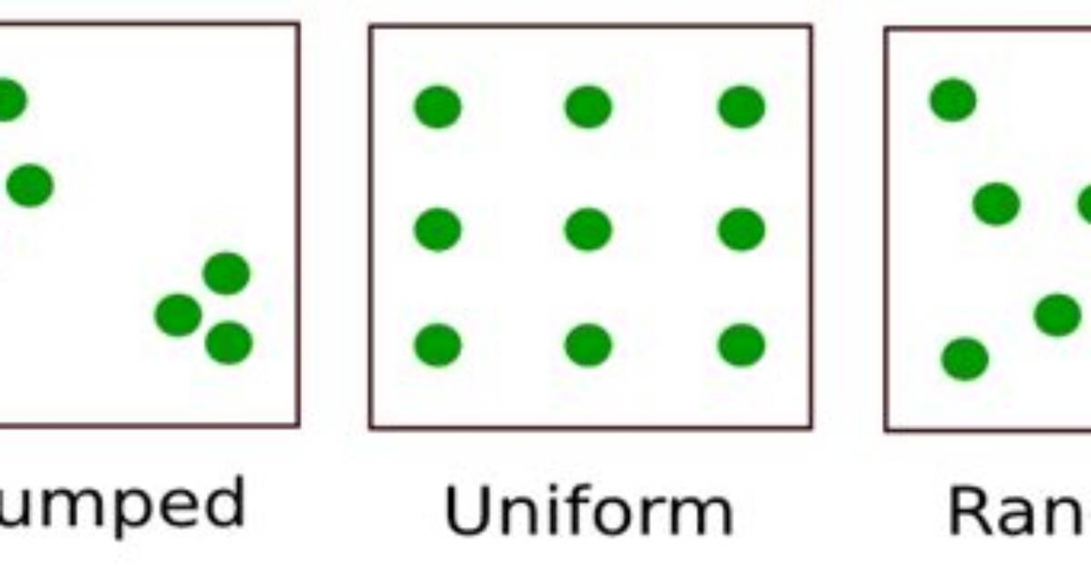 What Is Clumped Dispersion?
