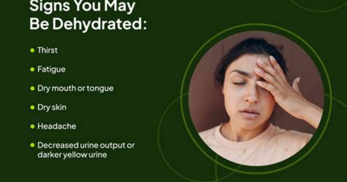 What Is Dehydrated?
