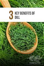 What Is Dill's Name in to Kill a Mockingbird?