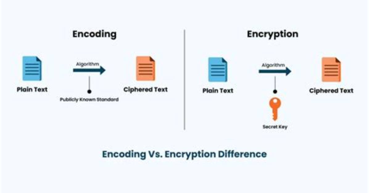 What Is Encoded for Encoding?
